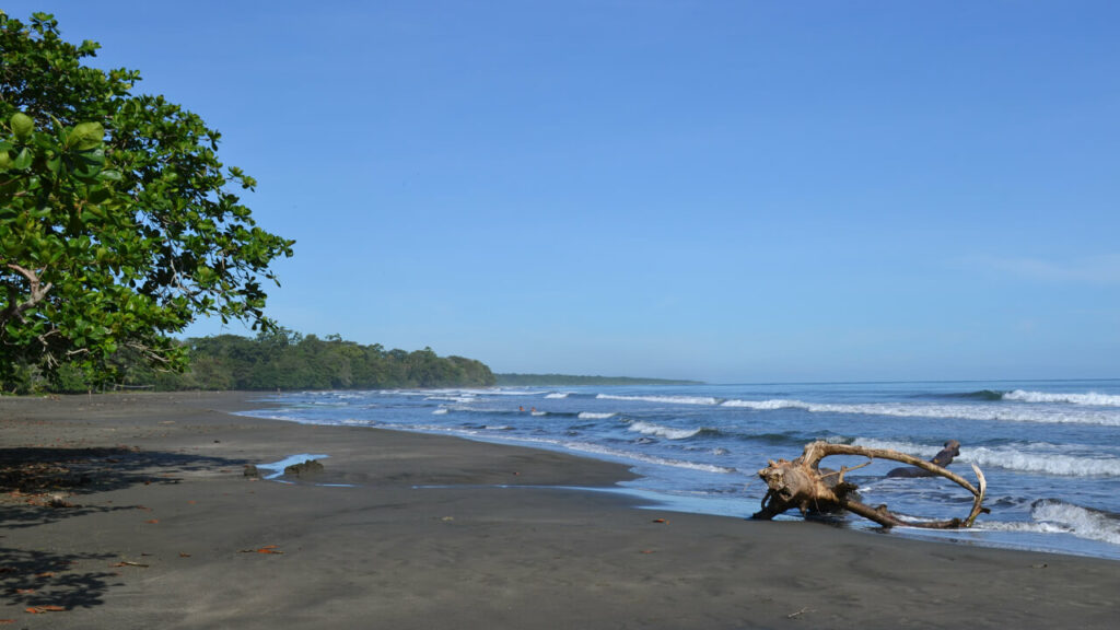 playa negra Costa Rica